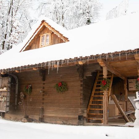 Apartma Kasca Domžale エクステリア 写真