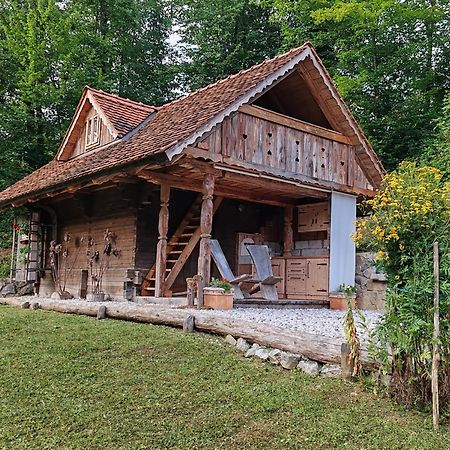 Apartma Kasca Domžale エクステリア 写真
